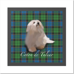 coton de tulear tartan Posters and Art